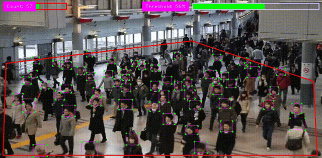 人群密度监控系统运行截图