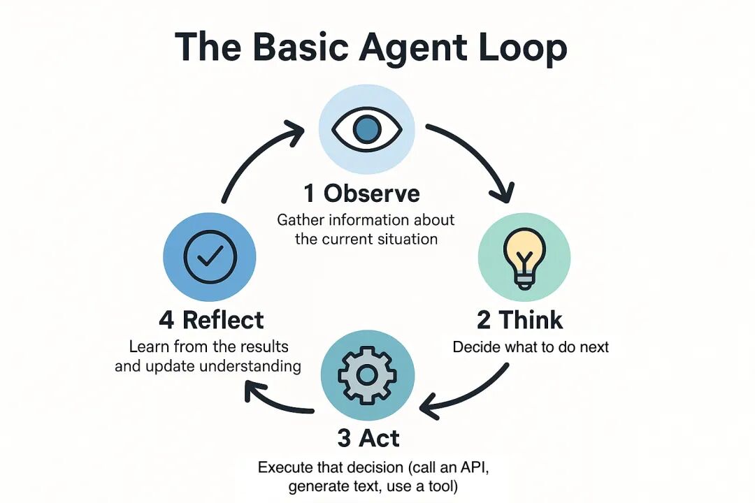 The Basic Agent Loop 流程图:Observe、Think、Act、Reflect 四步循环
