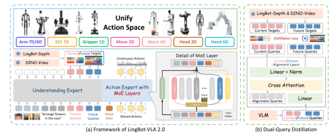 LingBot-VLA 2.0框架架构图,展示统一动作空间、MoE层与双查询蒸馏机制