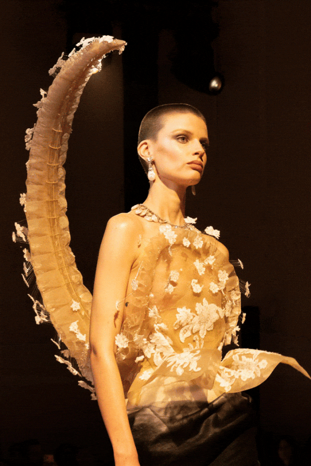 四张图片展示了四位模特在T台上走秀，均穿着极具艺术感和前卫设计的服装。第一张图：模特为光头造型，身穿半透明金黄色上衣，饰有白色立体花卉刺绣，背后配有巨大的月牙形弧形装饰，材质似羽毛或薄纱，边缘点缀白色小花；第二张图：模特头顶高耸银色尖刺状头饰，颈部环绕多层褶皱布料形成夸张领口，上身是黄白拼接的羽毛/薄纱结构，露出腹部，下身黑色长裤；第三张图：模特被悬挂在大型菱形风筝状装置中央，装置由橙红色放射状条带构成，底部垂挂蓝灰渐变流苏与蝴蝶结，模特身着粉、绿、白三色层次分明的蓬松裙装；第四张图：模特身着巨大V字形层叠褶皱斗篷式礼服，主色调为橙红至粉白渐变，下摆宽大如翅膀，内衬白色，整体造型极具雕塑感与视觉冲击力。