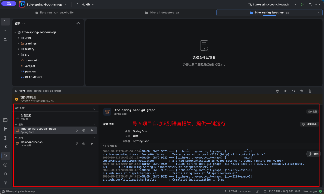 Lithe 导入 Spring Boot 项目自动识别框架一键运行