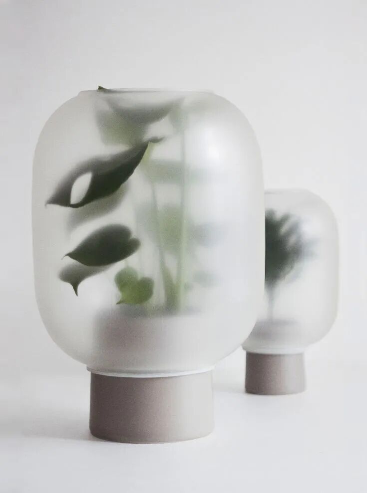 内含绿植的磨砂玻璃花瓶