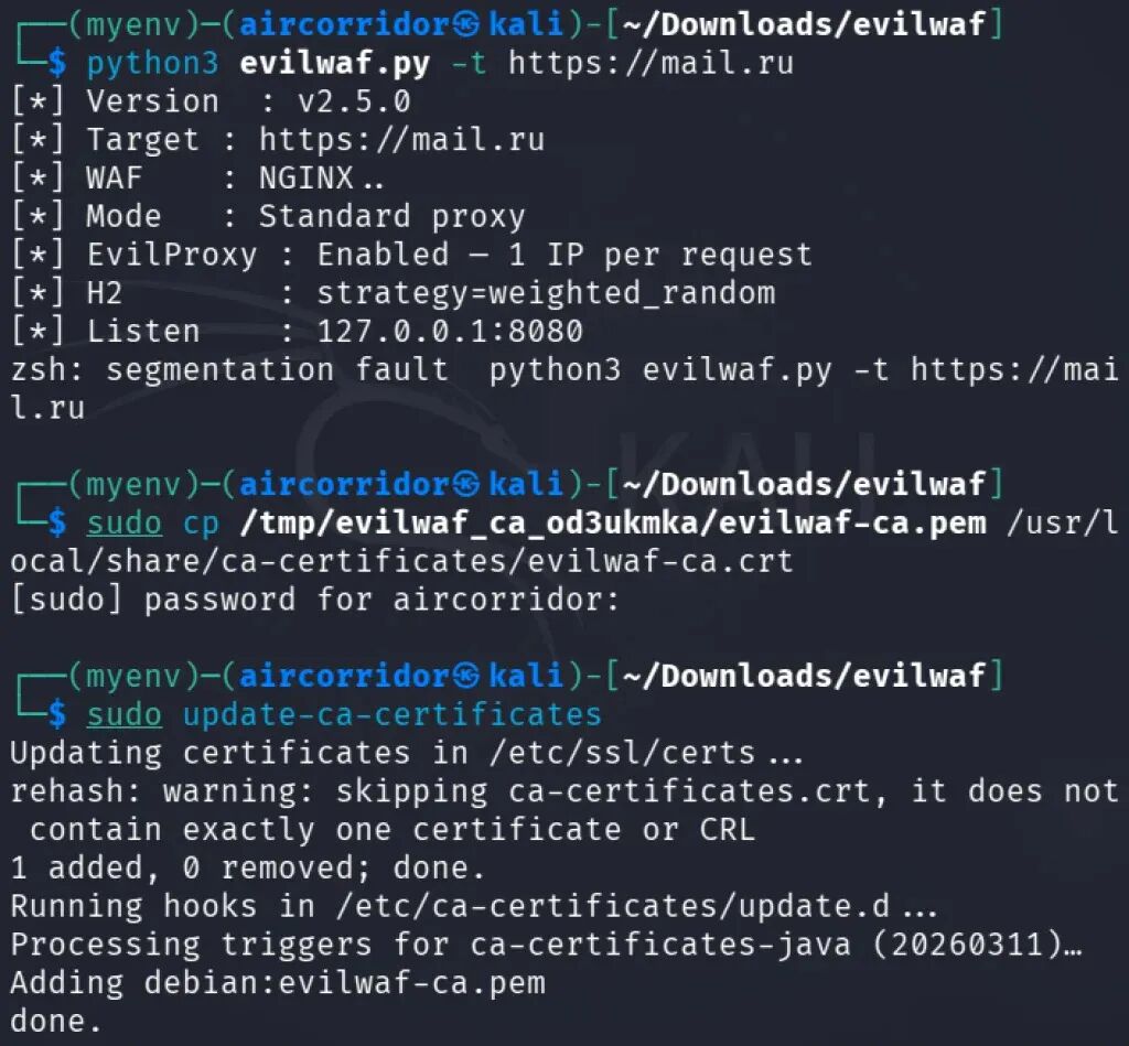Kali Linux 导入并信任 EvilWAF CA 证书