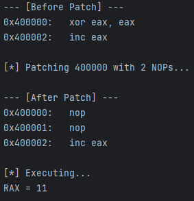 NOP补丁前后代码对比及执行结果