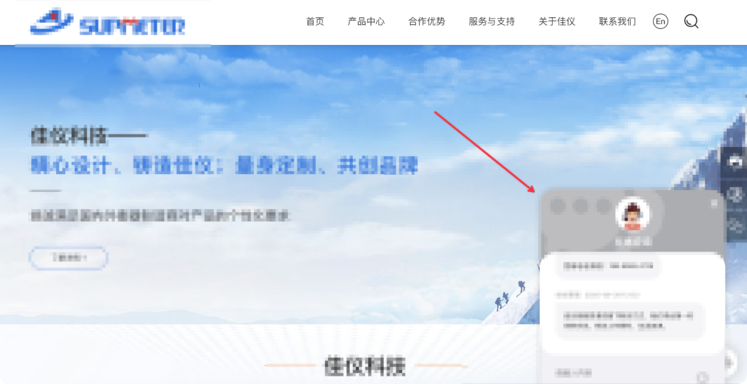 客服聊天窗口截图