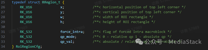 RoiRegionCfg结构体定义