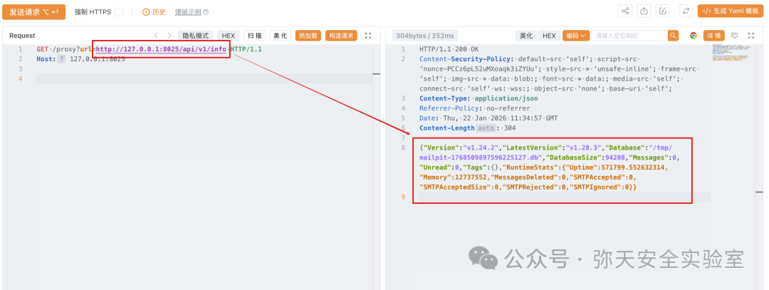Burp Suite请求成功返回Mailpit状态信息