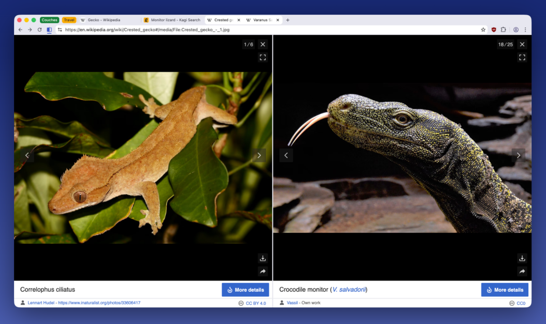 image-20251214110309960