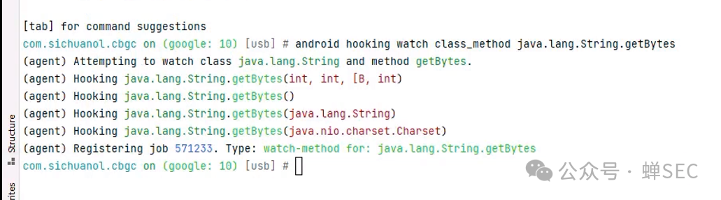 Hook Java String.getBytes方法