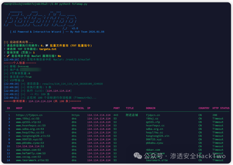 批量文件查询执行过程与结果