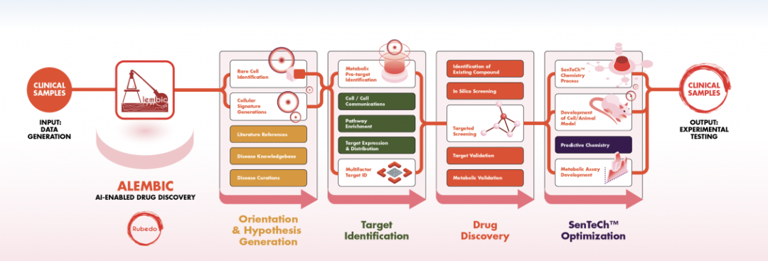 ALEMBIC AI驱动药物发现流程图，展示从临床样本到靶点验证的完整路径