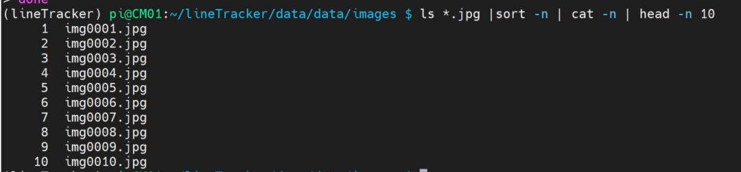 重命名后的前10个文件