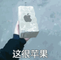印有苹果Logo的灰色砖块造型配文"这很苹果"的网络梗图