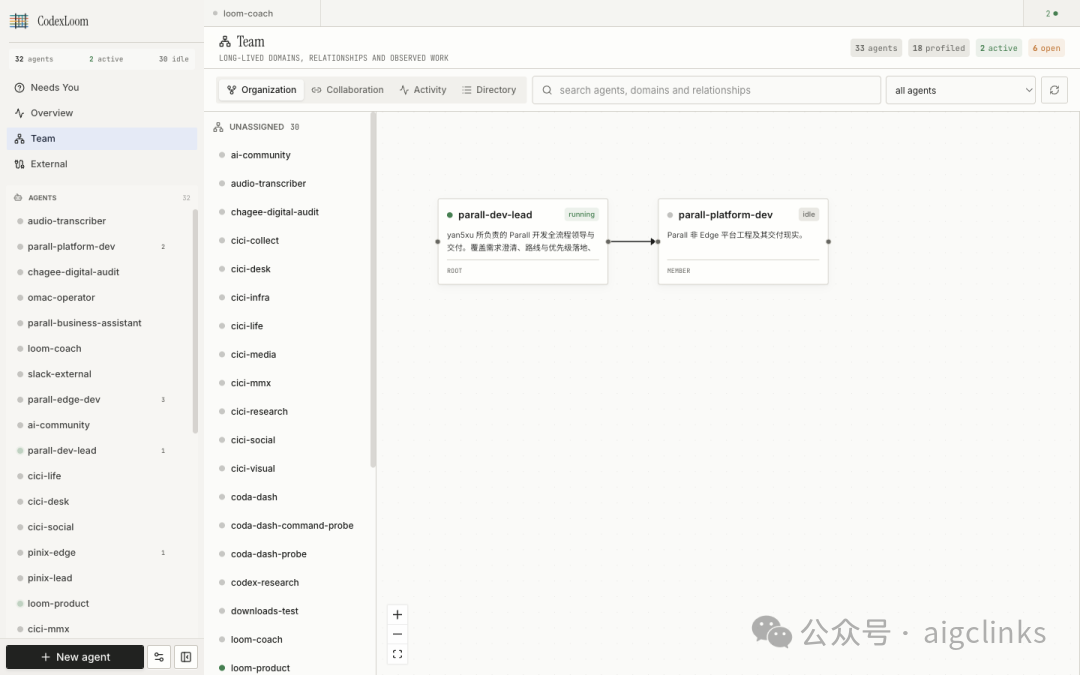 CodexLoom团队视图,显示多个Agent的组织与关系
