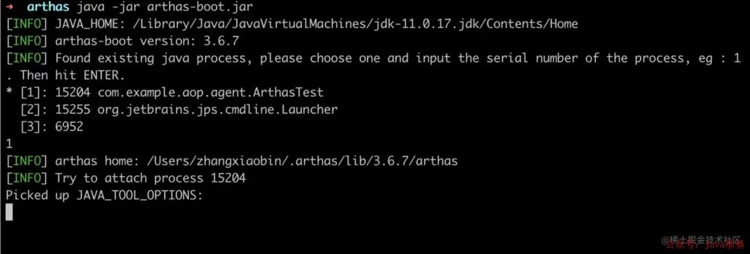Arthas boot 启动日志：选择 Java 进程 Attach