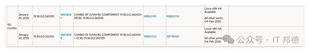 Oracle 19c RU组合补丁详细信息表