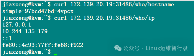 验证 TCP 路由 curl 请求结果