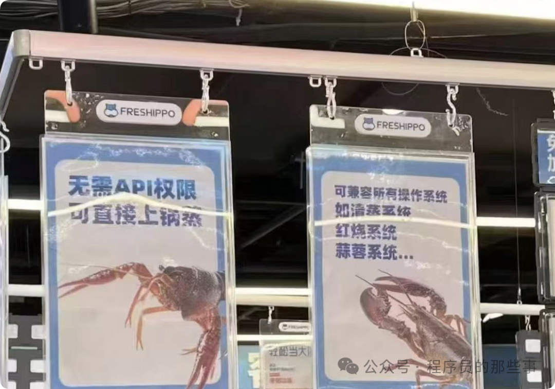 无需API权限可直接上锅蒸的幽默技术梗图