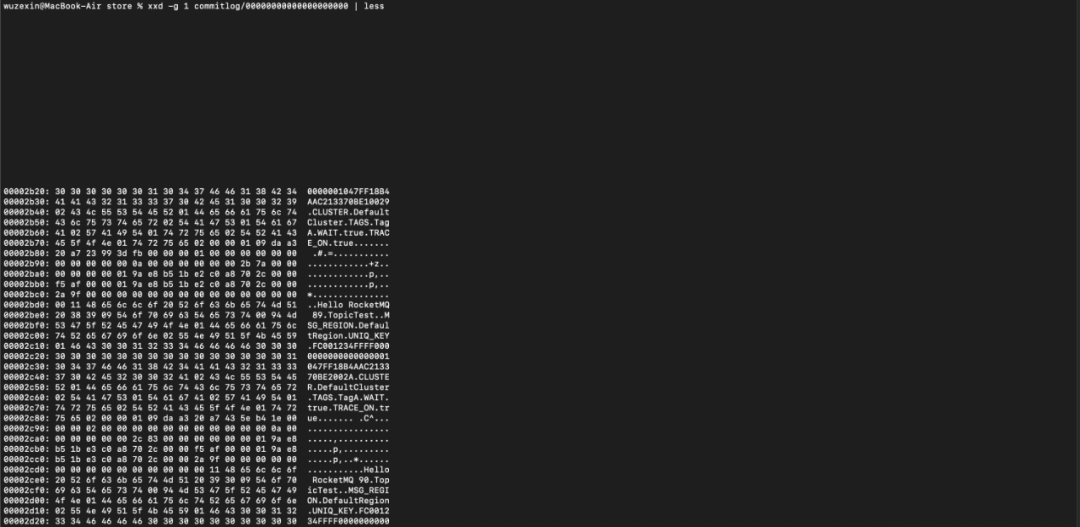 CommitLog二进制内容