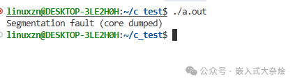 段错误 (Segmentation fault) 终端输出