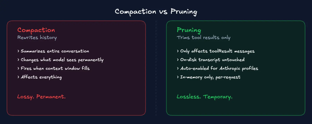 压缩与修剪的对比图，说明其差异与影响