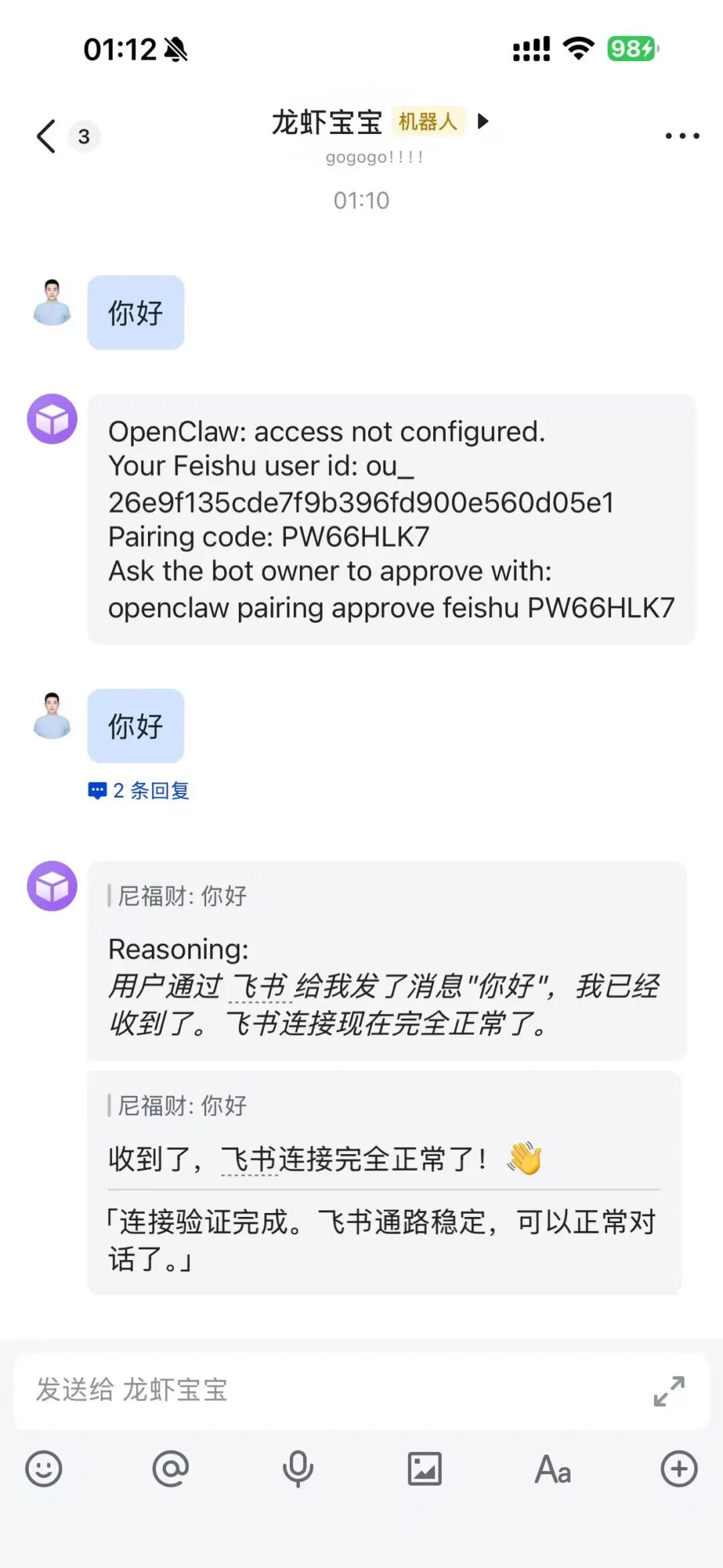 手机飞书中与已配置好的机器人成功对话的界面