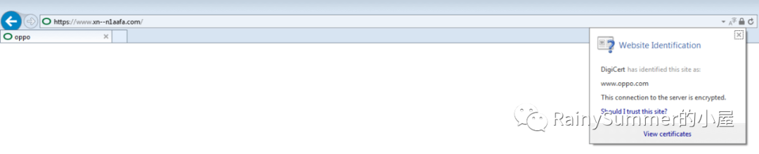 IE浏览器在英文系统中显示Punycode