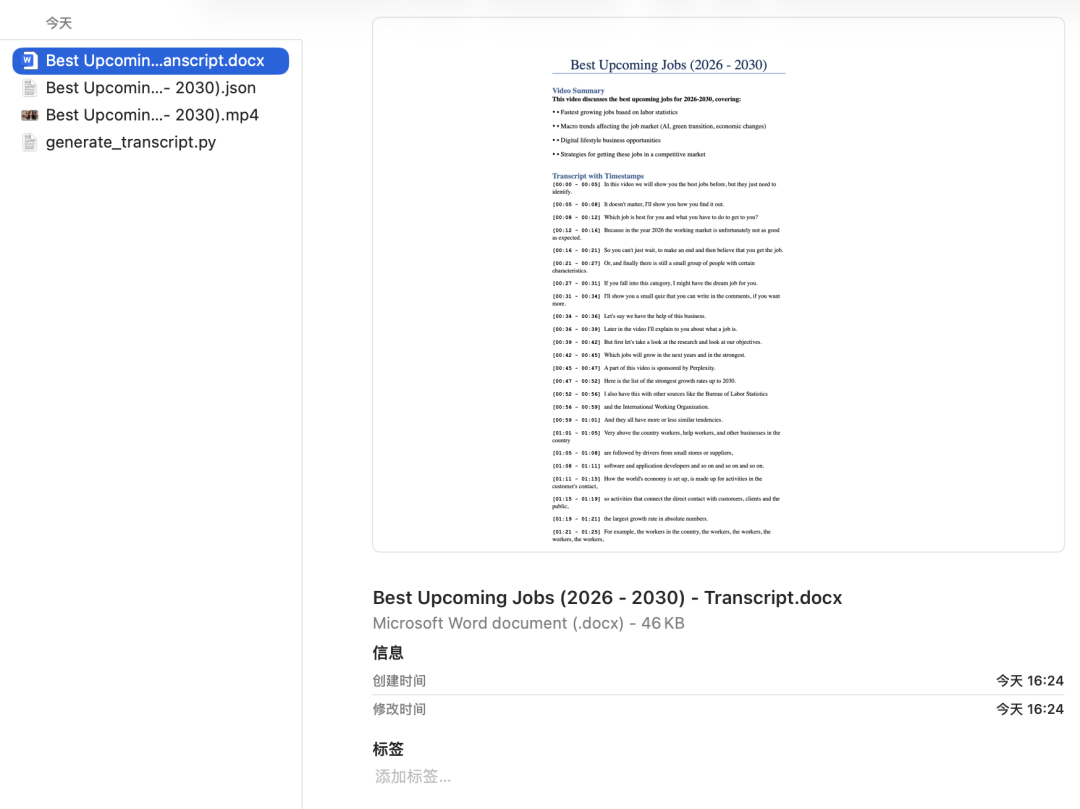 视频下载后生成的文件及文字转录内容
