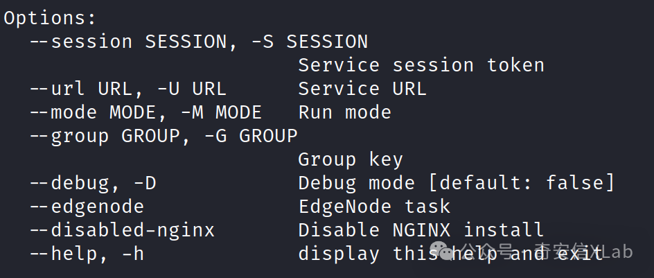 深色背景的终端命令行界面截图，显示了多个命令行选项及其描述，包括--session、--url、--mode、--group、--debug、--edgenode、--disabled-nginx 和 --help