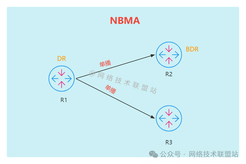 NBMA网络示意图