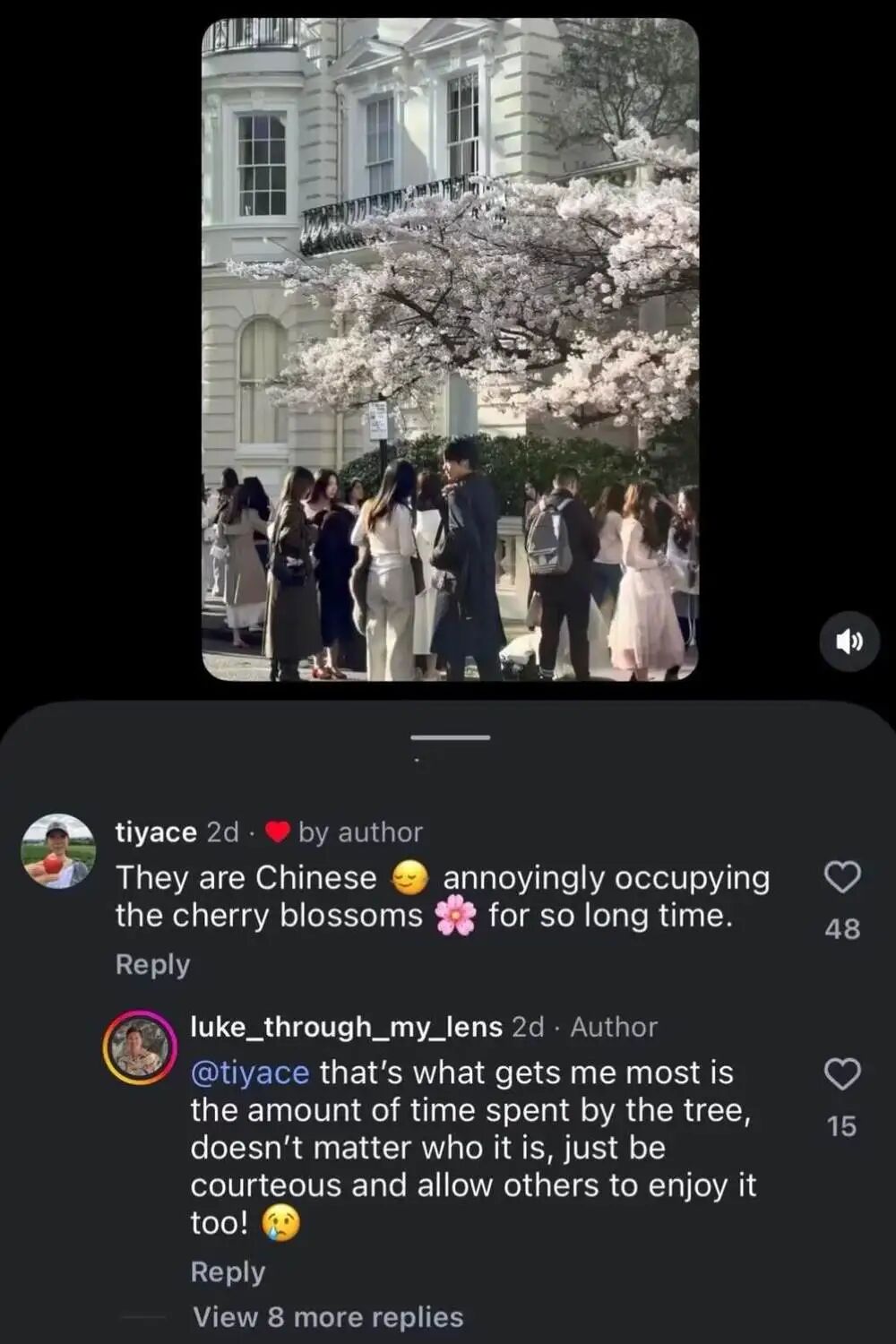 樱花树下被投诉的打卡族