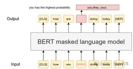 BERT掩码语言模型工作原理示意图