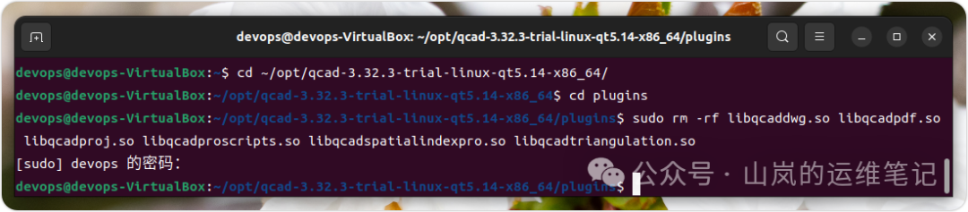 在终端中删除QCAD专业版插件文件