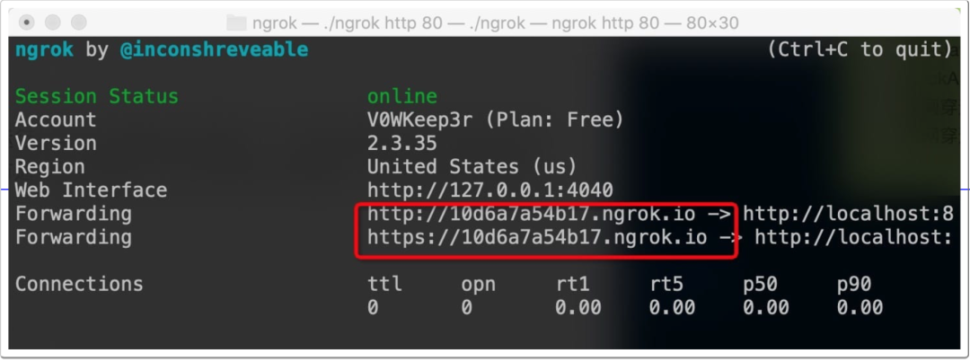 ngrok 终端运行界面:Session Status 显示 online,Forwarding 高亮显示两个公网转发地址