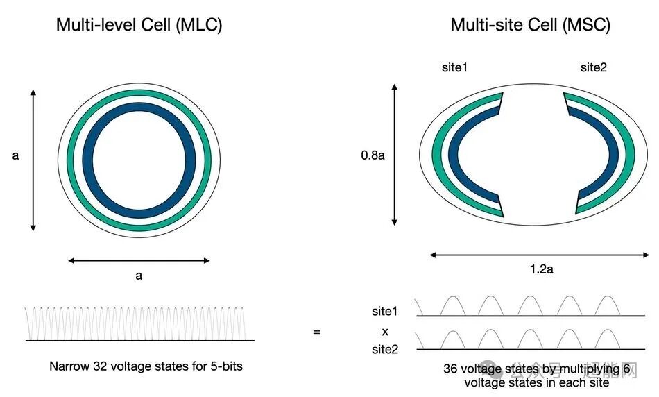 Multi-level Cell (MLC) 与 Multi-site Cell (MSC) 结构对比图