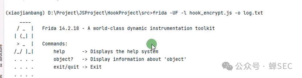 Frida工具运行命令界面