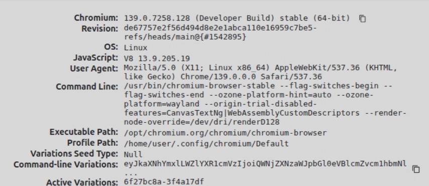 Chromium 139.0.7258.128 启动信息