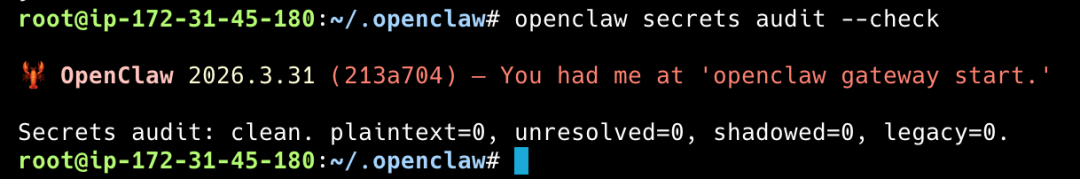 终端审计命令执行结果:所有明文密钥已清理干净