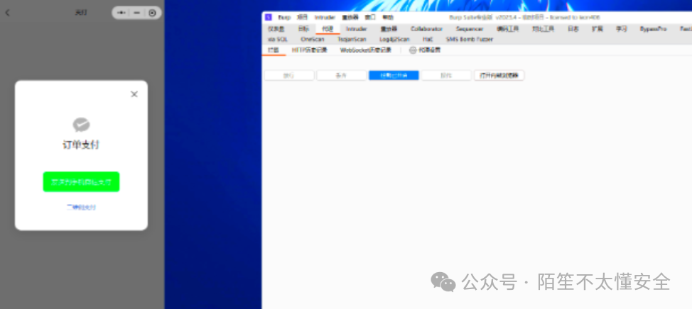 支付弹窗与Burp Suite界面
