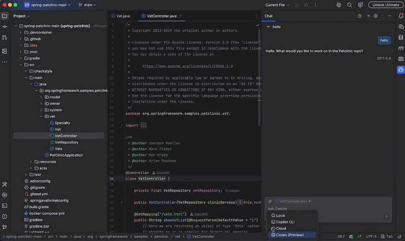 JetBrains IDE 中将 Codex 选为 Agent 的集成界面