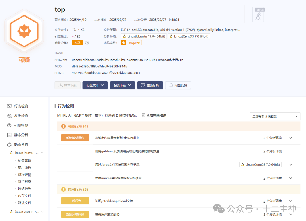 top文件的恶意行为分析报告