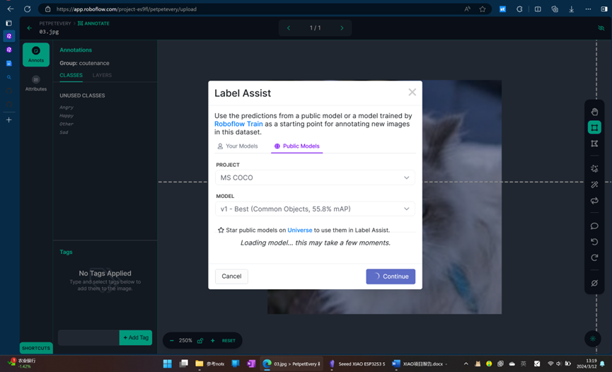 Roboflow Label Assist功能说明