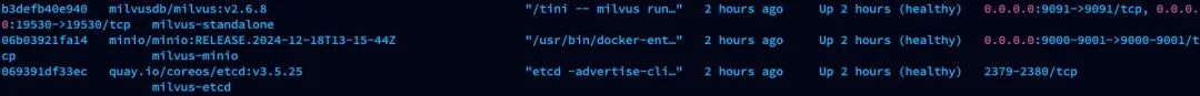 Docker 容器运行状态截图