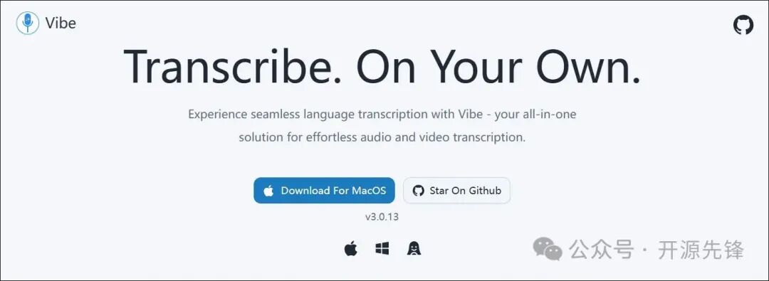 Vibe 官网下载页面