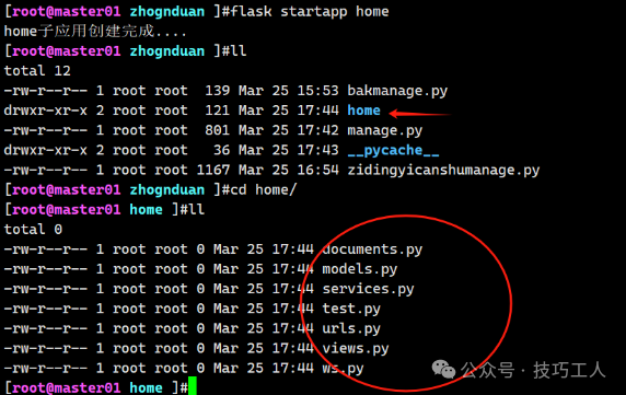 查看生成的home子应用文件