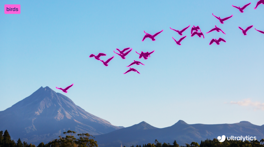 YOLO26的实例分割应用示例