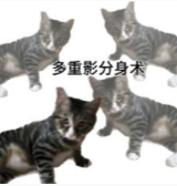 多重影分身术