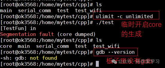 板子运行core-dump