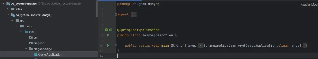 Spring Boot OASYS项目主类代码