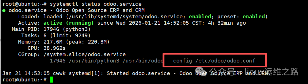 Odoo服务运行状态验证